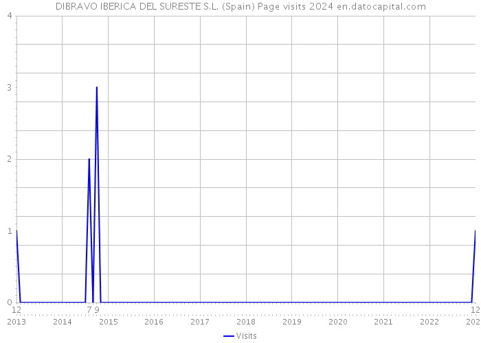 DIBRAVO IBERICA DEL SURESTE S.L. (Spain) Page visits 2024 