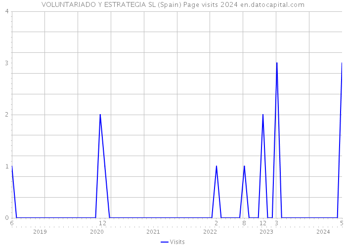 VOLUNTARIADO Y ESTRATEGIA SL (Spain) Page visits 2024 