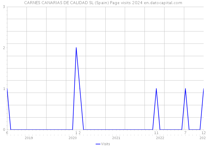 CARNES CANARIAS DE CALIDAD SL (Spain) Page visits 2024 