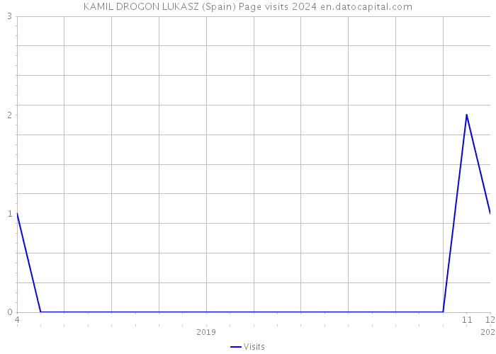 KAMIL DROGON LUKASZ (Spain) Page visits 2024 