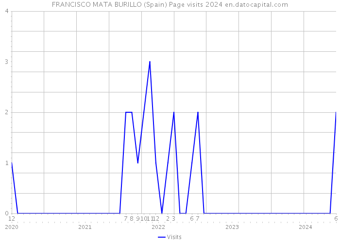 FRANCISCO MATA BURILLO (Spain) Page visits 2024 