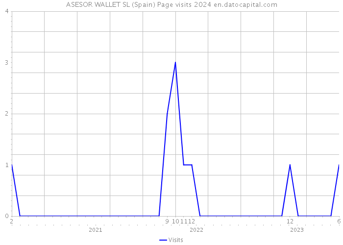 ASESOR WALLET SL (Spain) Page visits 2024 