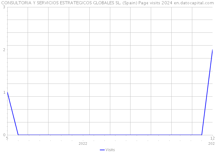 CONSULTORIA Y SERVICIOS ESTRATEGICOS GLOBALES SL. (Spain) Page visits 2024 