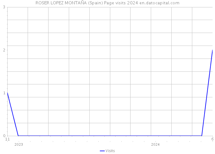 ROSER LOPEZ MONTAÑA (Spain) Page visits 2024 