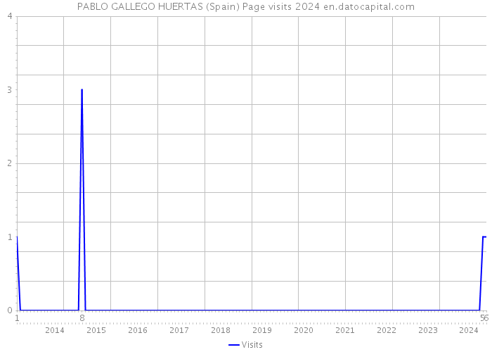 PABLO GALLEGO HUERTAS (Spain) Page visits 2024 