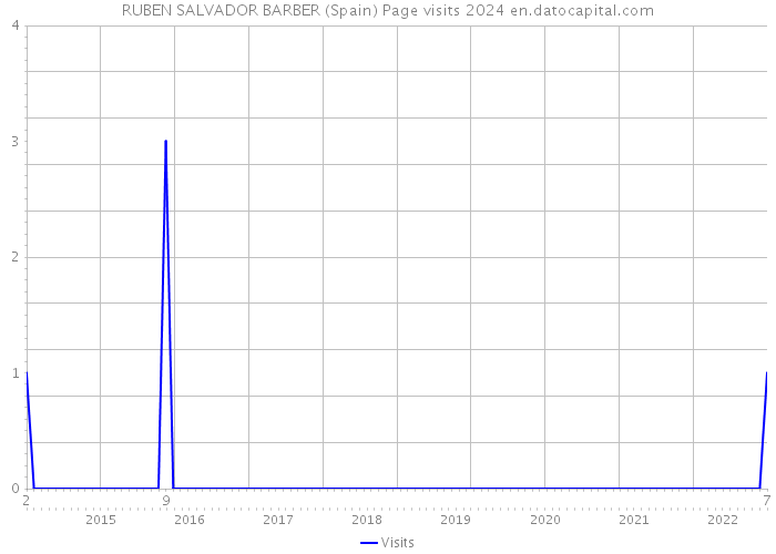 RUBEN SALVADOR BARBER (Spain) Page visits 2024 