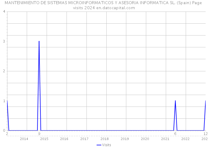 MANTENIMIENTO DE SISTEMAS MICROINFORMATICOS Y ASESORIA INFORMATICA SL. (Spain) Page visits 2024 