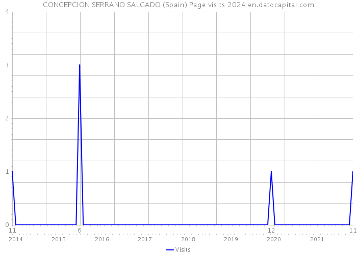 CONCEPCION SERRANO SALGADO (Spain) Page visits 2024 