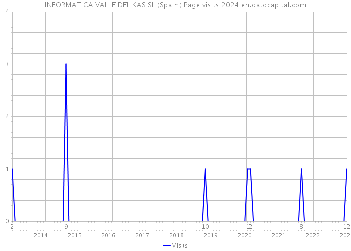 INFORMATICA VALLE DEL KAS SL (Spain) Page visits 2024 