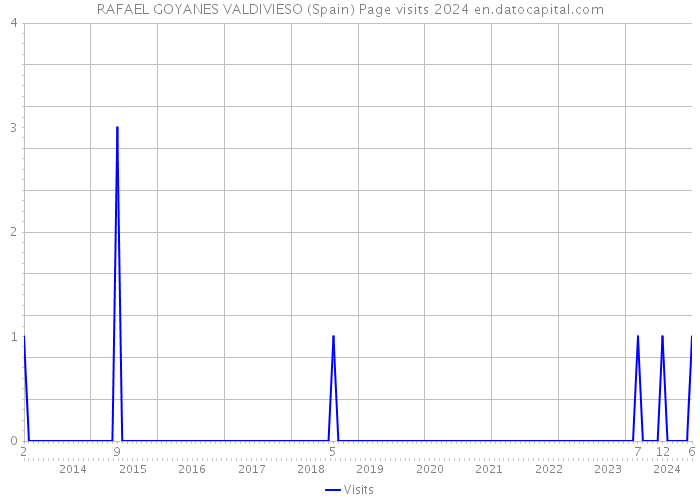 RAFAEL GOYANES VALDIVIESO (Spain) Page visits 2024 