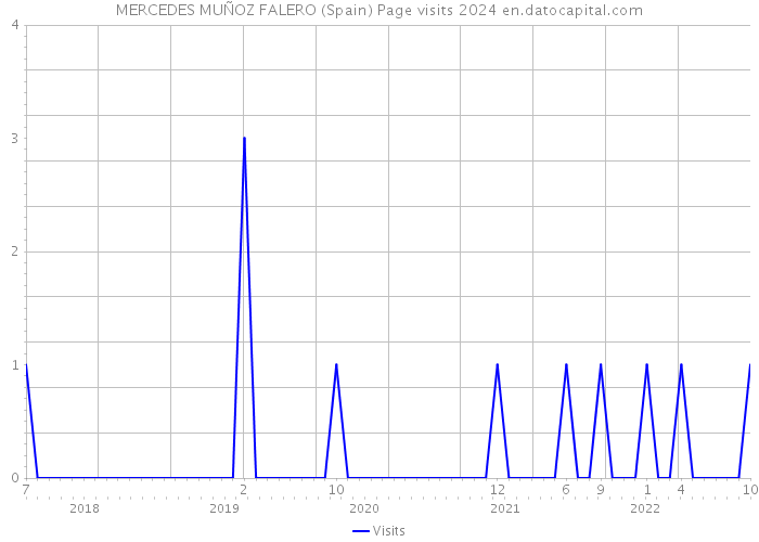 MERCEDES MUÑOZ FALERO (Spain) Page visits 2024 