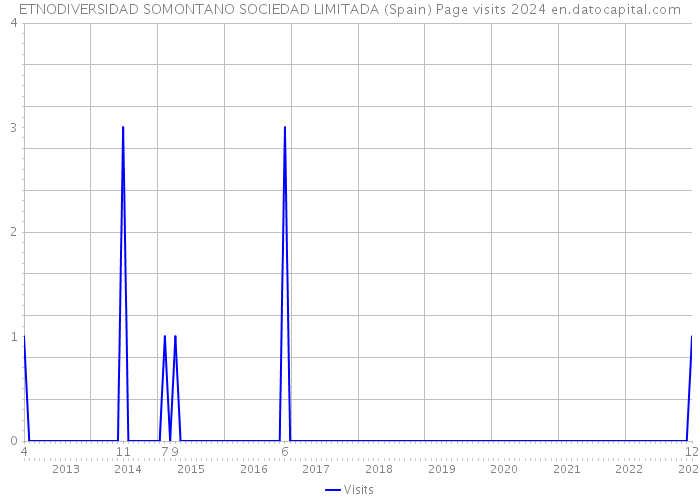 ETNODIVERSIDAD SOMONTANO SOCIEDAD LIMITADA (Spain) Page visits 2024 