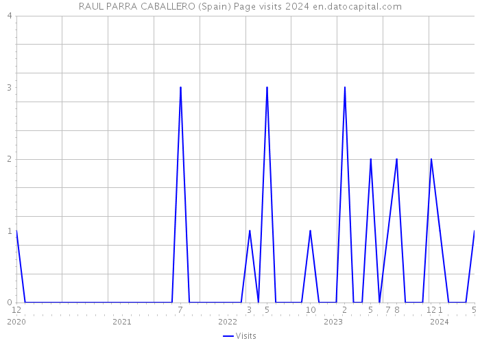 RAUL PARRA CABALLERO (Spain) Page visits 2024 