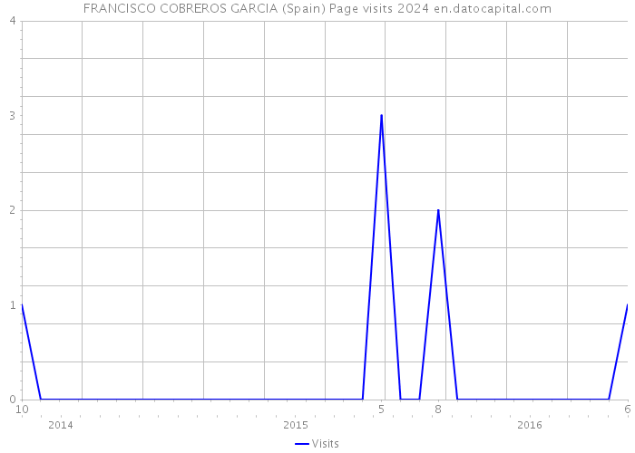 FRANCISCO COBREROS GARCIA (Spain) Page visits 2024 
