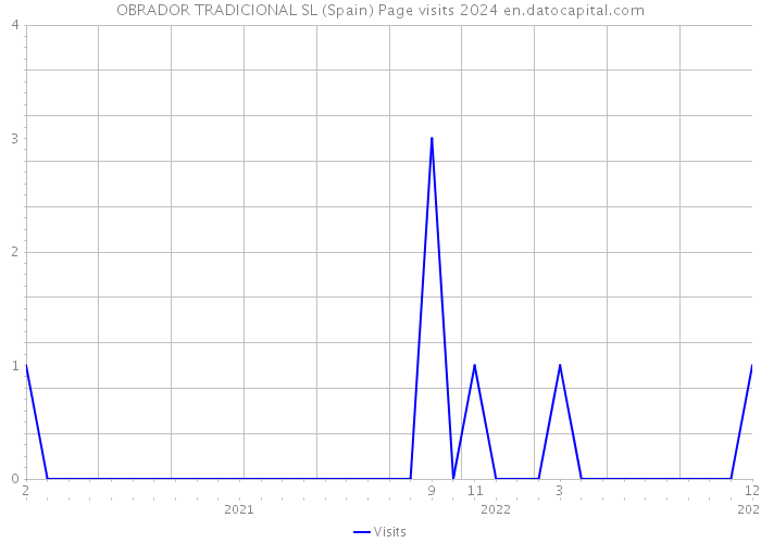 OBRADOR TRADICIONAL SL (Spain) Page visits 2024 