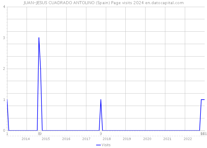 JUAN-JESUS CUADRADO ANTOLINO (Spain) Page visits 2024 