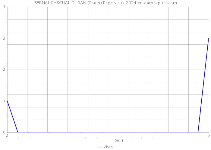 BERNAL PASCUAL DURAN (Spain) Page visits 2024 