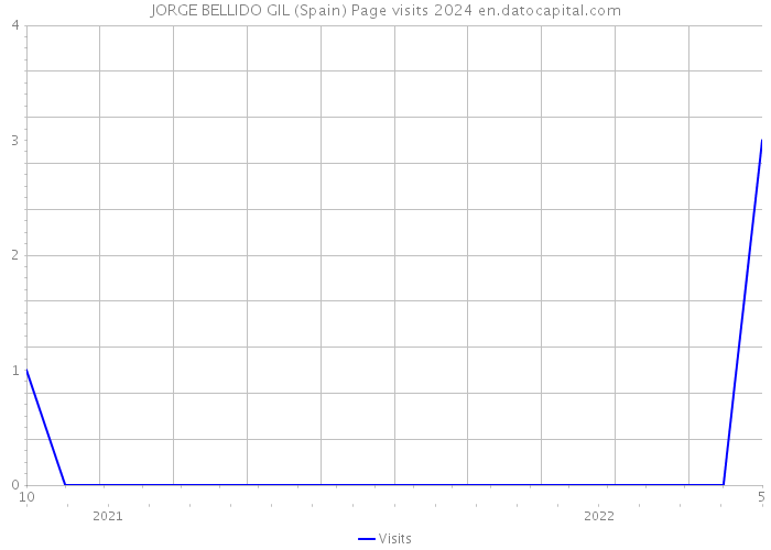 JORGE BELLIDO GIL (Spain) Page visits 2024 