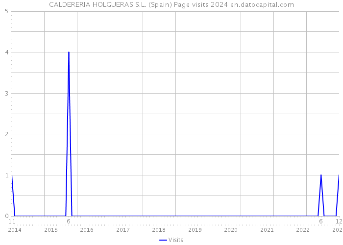CALDERERIA HOLGUERAS S.L. (Spain) Page visits 2024 