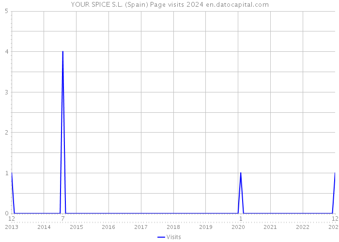 YOUR SPICE S.L. (Spain) Page visits 2024 