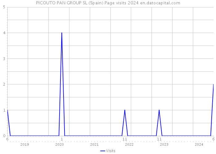 PICOUTO PAN GROUP SL (Spain) Page visits 2024 