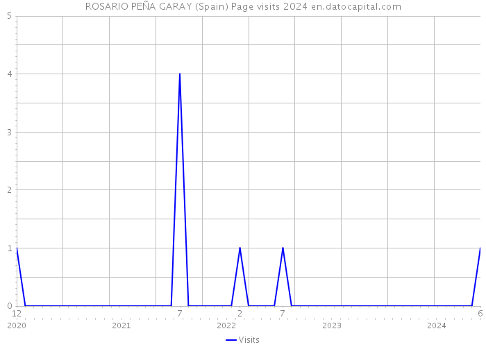 ROSARIO PEÑA GARAY (Spain) Page visits 2024 