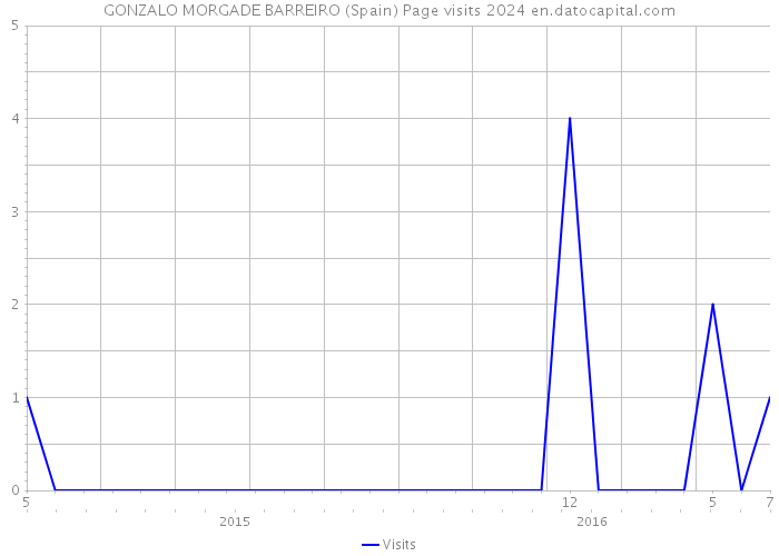 GONZALO MORGADE BARREIRO (Spain) Page visits 2024 