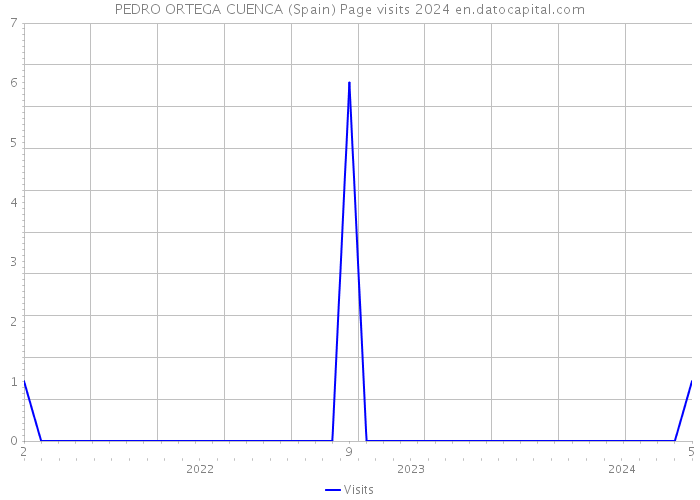 PEDRO ORTEGA CUENCA (Spain) Page visits 2024 
