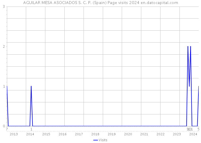 AGUILAR MESA ASOCIADOS S. C. P. (Spain) Page visits 2024 