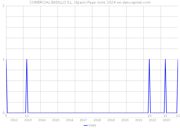 COMERCIAL BADILLO S.L. (Spain) Page visits 2024 
