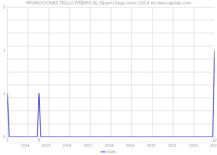 PROMOCIONES TRILLO PIÑEIRO SL (Spain) Page visits 2024 