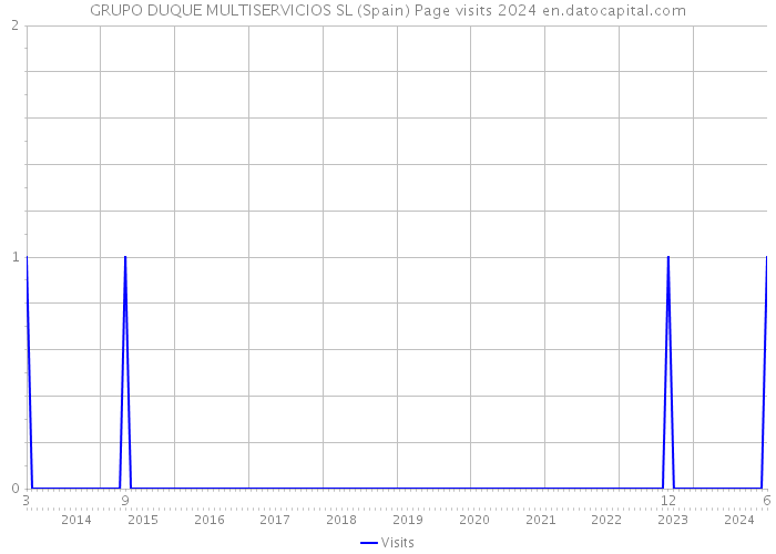 GRUPO DUQUE MULTISERVICIOS SL (Spain) Page visits 2024 