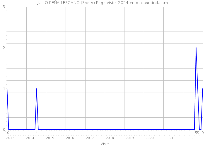 JULIO PEÑA LEZCANO (Spain) Page visits 2024 