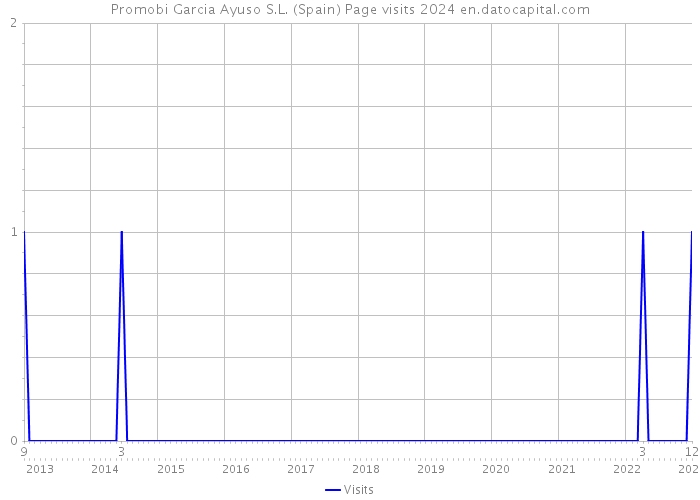 Promobi Garcia Ayuso S.L. (Spain) Page visits 2024 