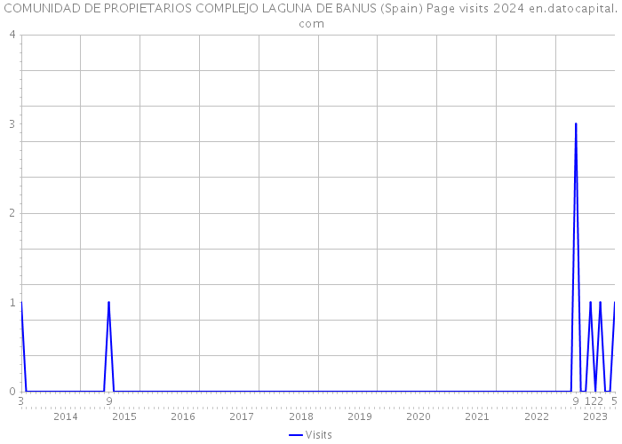 COMUNIDAD DE PROPIETARIOS COMPLEJO LAGUNA DE BANUS (Spain) Page visits 2024 