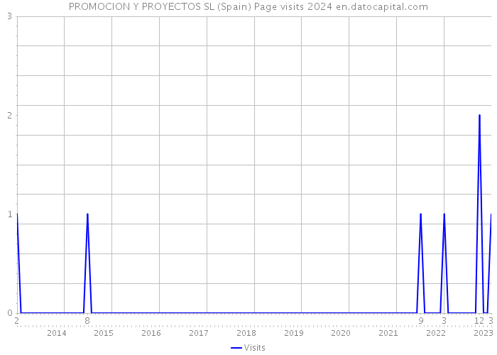 PROMOCION Y PROYECTOS SL (Spain) Page visits 2024 