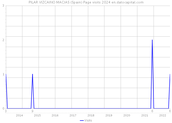 PILAR VIZCAINO MACIAS (Spain) Page visits 2024 