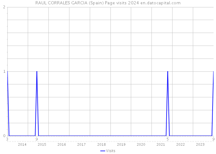 RAUL CORRALES GARCIA (Spain) Page visits 2024 
