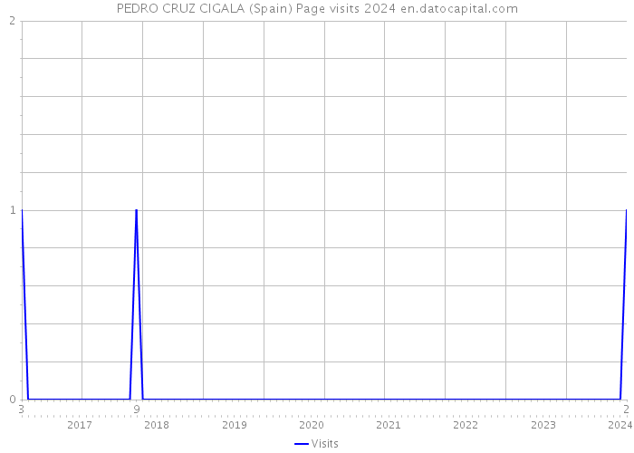 PEDRO CRUZ CIGALA (Spain) Page visits 2024 