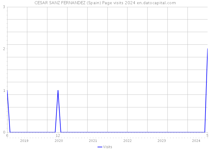 CESAR SANZ FERNANDEZ (Spain) Page visits 2024 