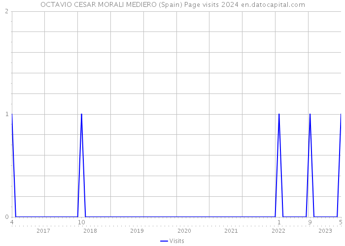 OCTAVIO CESAR MORALI MEDIERO (Spain) Page visits 2024 