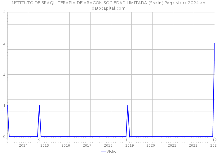 INSTITUTO DE BRAQUITERAPIA DE ARAGON SOCIEDAD LIMITADA (Spain) Page visits 2024 