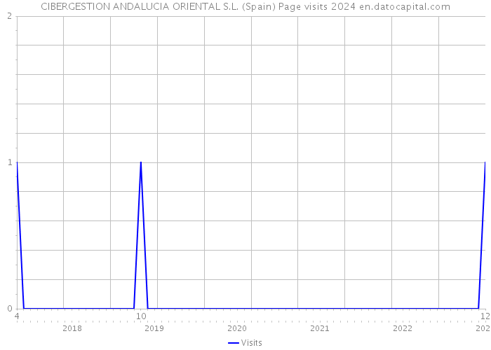 CIBERGESTION ANDALUCIA ORIENTAL S.L. (Spain) Page visits 2024 