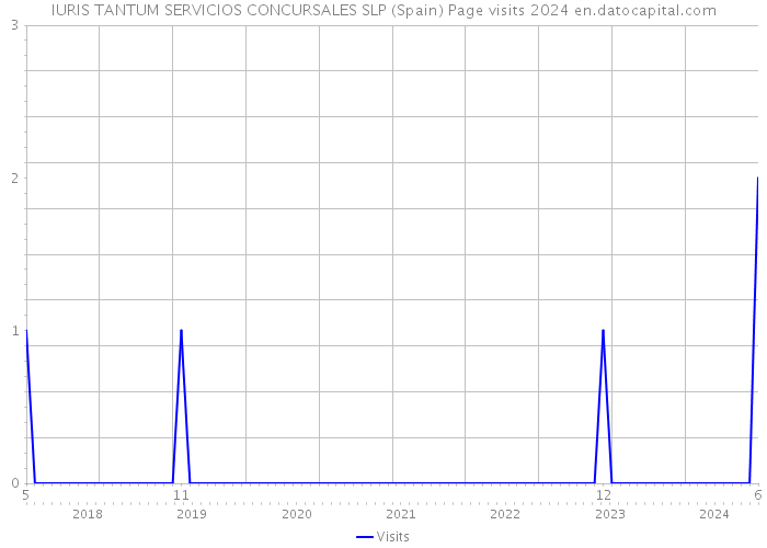 IURIS TANTUM SERVICIOS CONCURSALES SLP (Spain) Page visits 2024 