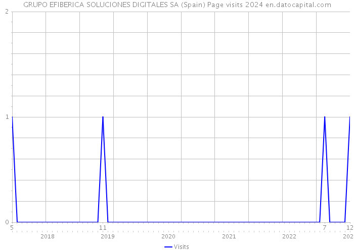 GRUPO EFIBERICA SOLUCIONES DIGITALES SA (Spain) Page visits 2024 