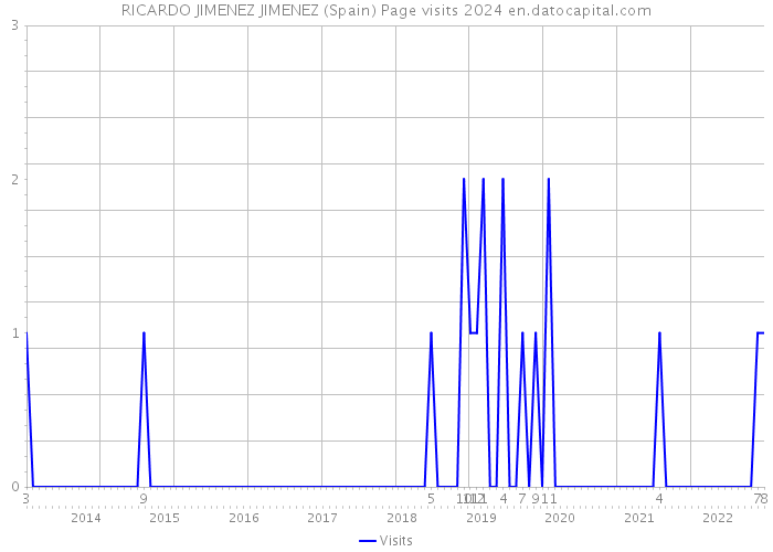 RICARDO JIMENEZ JIMENEZ (Spain) Page visits 2024 