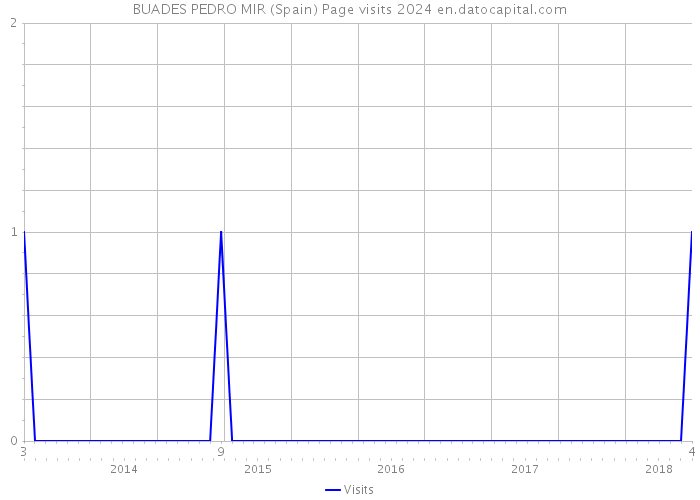 BUADES PEDRO MIR (Spain) Page visits 2024 