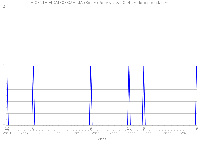 VICENTE HIDALGO GAVIRIA (Spain) Page visits 2024 