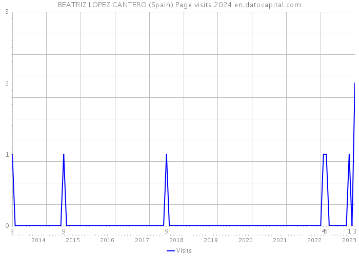 BEATRIZ LOPEZ CANTERO (Spain) Page visits 2024 