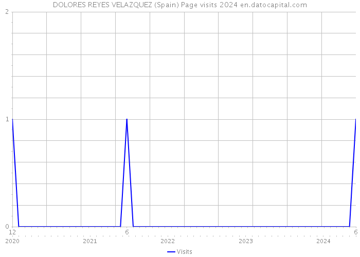 DOLORES REYES VELAZQUEZ (Spain) Page visits 2024 